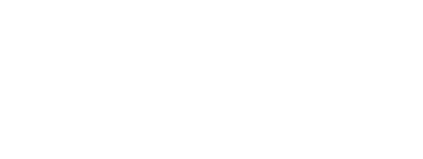 H2S LOGO